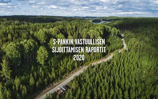 Metsänrahaston metsää Lohjalla.