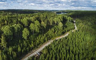 Rapporter om ansvarsfulla investeringar i S-Bankens Förmögenhetsförvaltning 2020 har kommit ut.