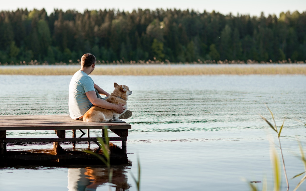 Ihminen ja koira istuvat laiturin päässä
