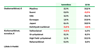 Kuva 1 Näkemys 022024.PNG
