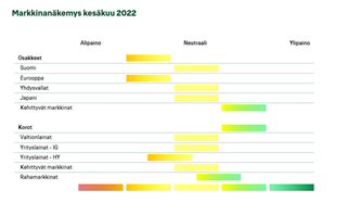 Markkinanäkemys-6-22.PNG