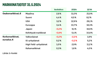 Näkemus kuva 1 062024.PNG