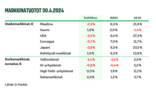 Näkemys kuva 1 052024.png