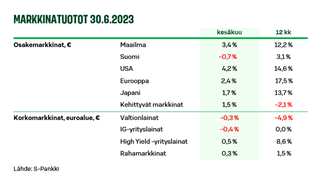 Näkemys-kuva 1-7-23.PNG