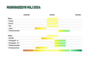 Vision kuva 3 052024.PNG