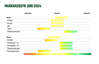 Vision Kuva 3 062024.PNG